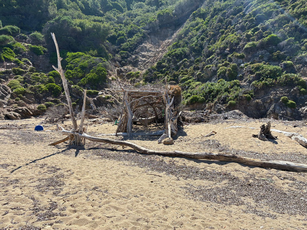 Megalos Aselinos Beach-斯亚索斯必去景点