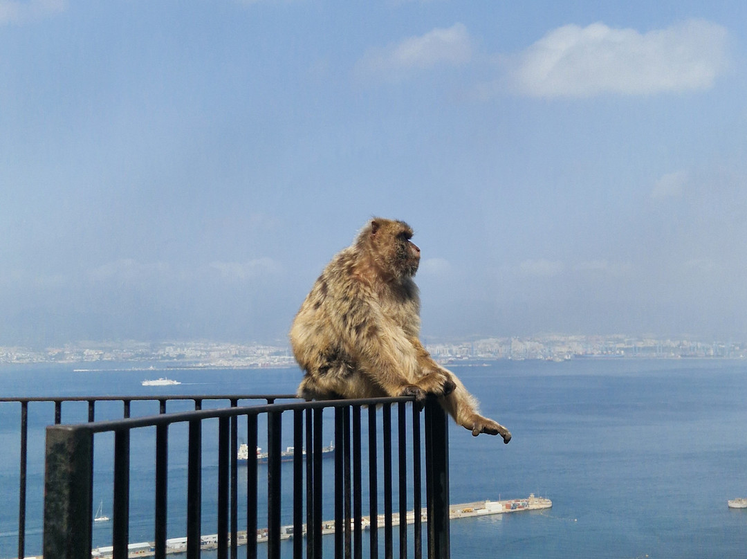 直布罗陀巨岩-Gibraltar Town必去景点