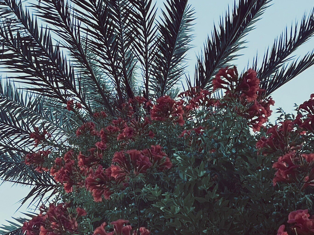 Balmy Beach度假村凯麦尔主图
