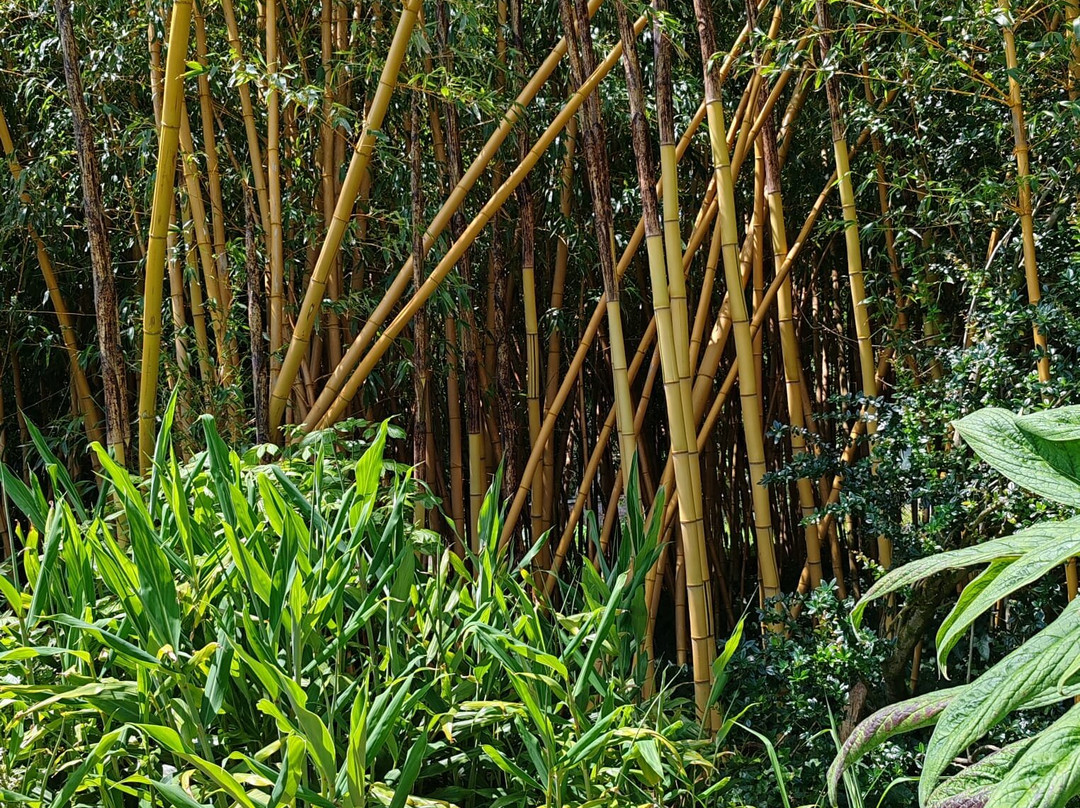Trewidden Garden-Newlyn必去景点