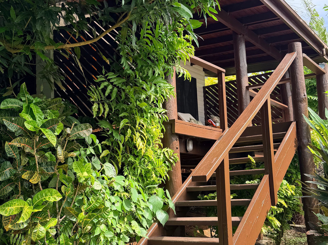 椰林海滨小屋度假村主图