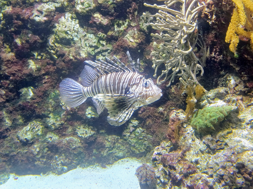 Aquarium La Rochelle-拉罗谢尔必去景点