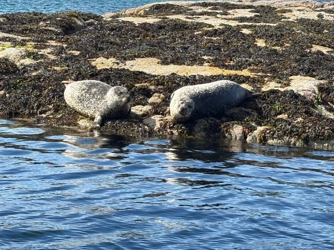 Staffa Trips-Isle of Iona必去景点