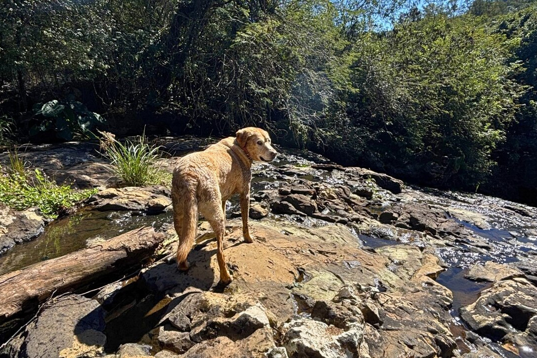 Cascata do Moinho Riggon