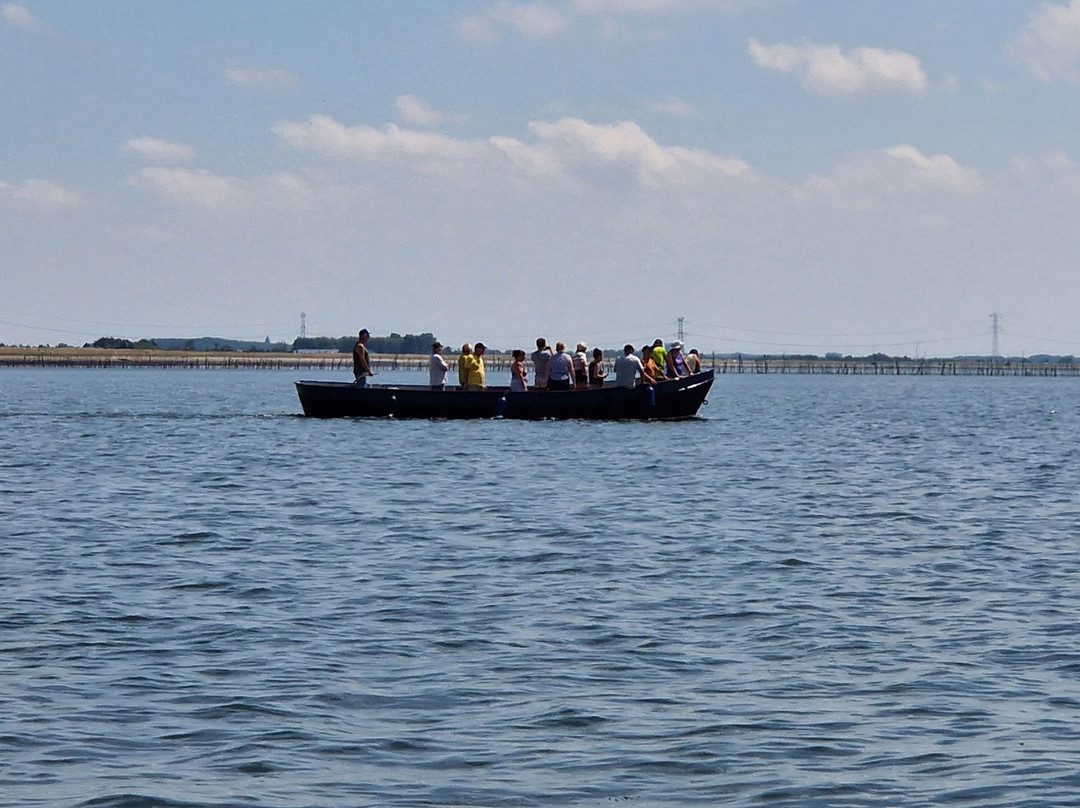 Strand Bergsediepsluis-Tholen必去景点