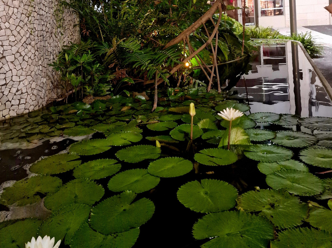 林肯大道-迈阿密海滩必去景点