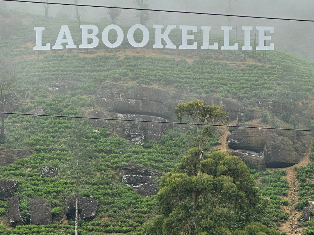 Damro Labookellie Tea Centre and Tea Garden-奴娃拉伊利雅必去景点