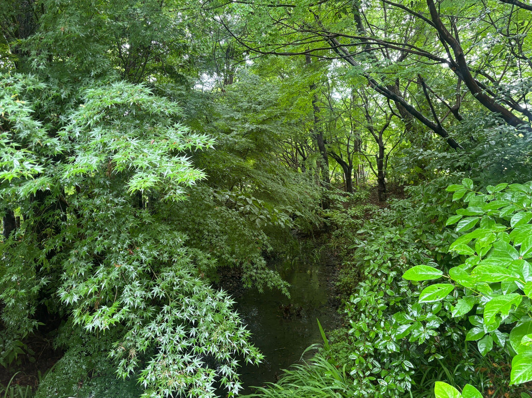 Moriyama Firefly Museum-守山市必去景点