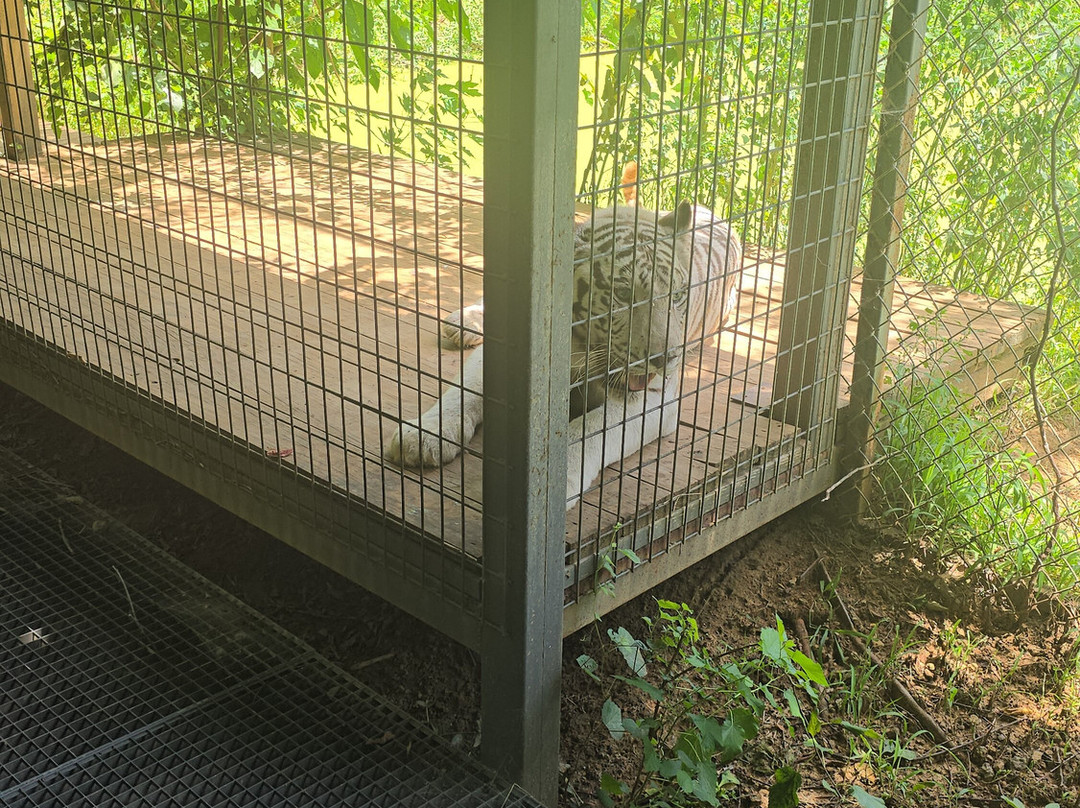 Safari Zoological Park-Caney必去景点