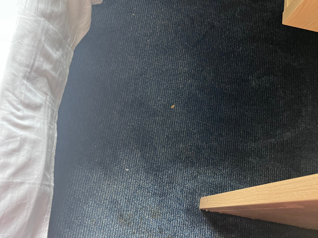 海尔旅客之家酒店主图
