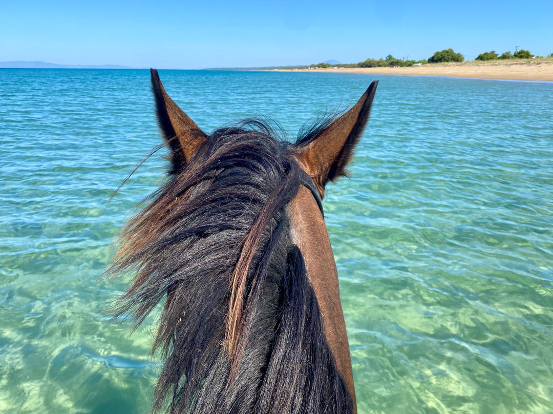 Savalia Horse Riding Club - Sport & Nature