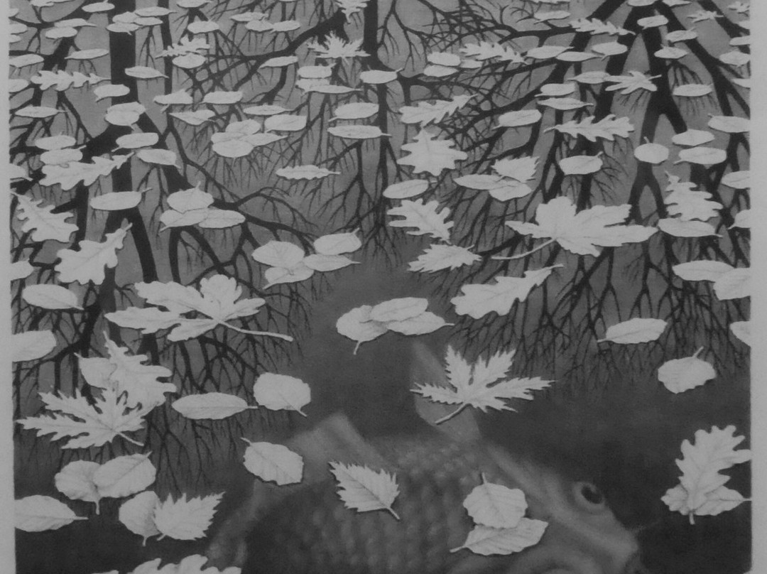 M.C. Escher - Exposition Montréal-蒙特利尔必去景点