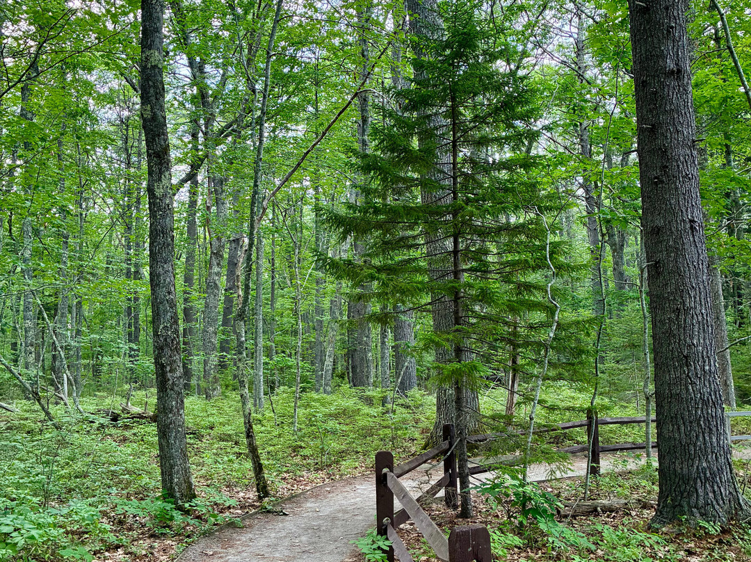 Rachel Carson National Wildlife Refuge-韦尔斯必去景点