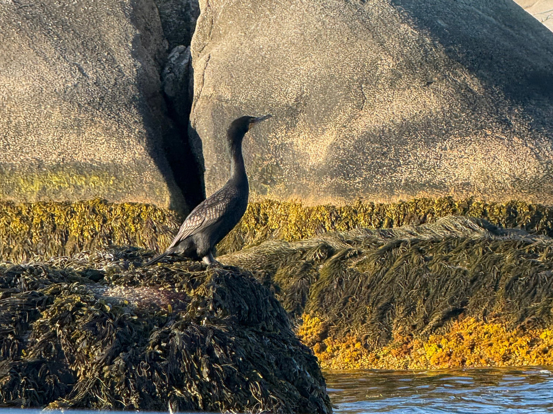 Peggy's Cove Boat Tours-Peggy's Cove必去景点