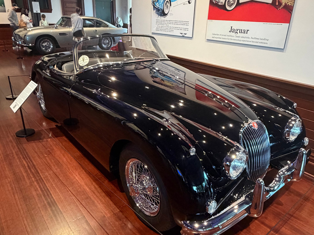 Audrain Automobile Museum-纽波特必去景点