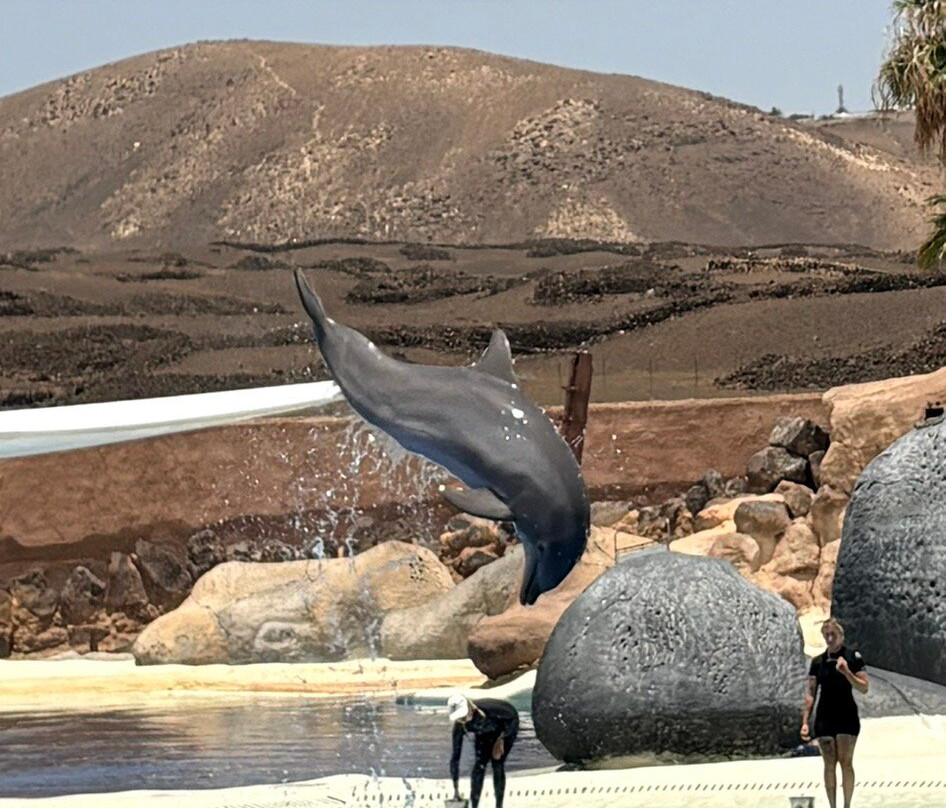 Rancho Texas Lanzarote Park-卡门港必去景点