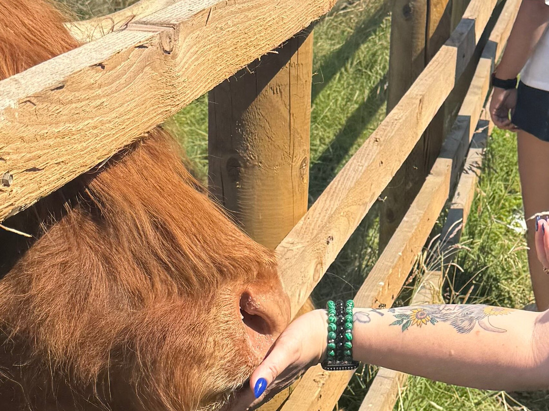 Hogshaw Farm & Wildlife Park-Hogshaw必去景点