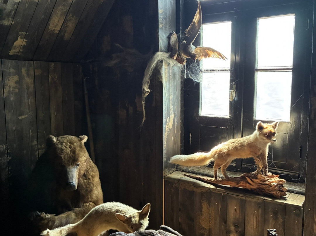 Natuurmuseum Fryslan-吕伐登必去景点