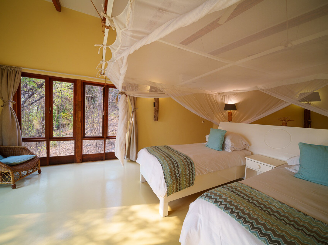 Pumulani Lodge - Robin Pope Safaris主图