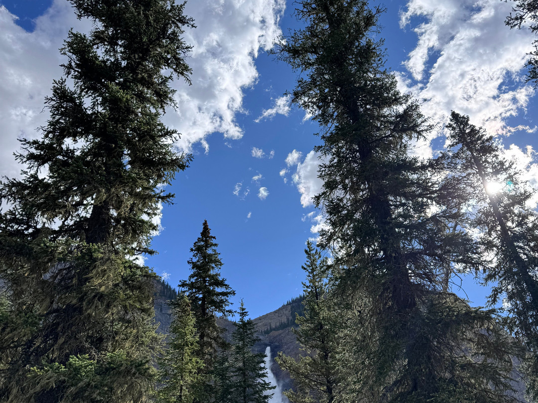 Takakkaw Falls-幽鹤国家公园必去景点