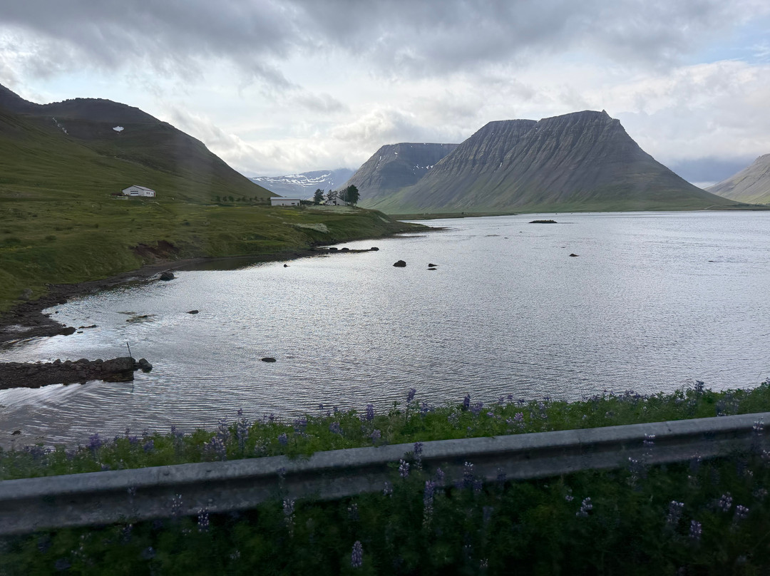 Wild Westfjords-伊萨菲厄泽必去景点
