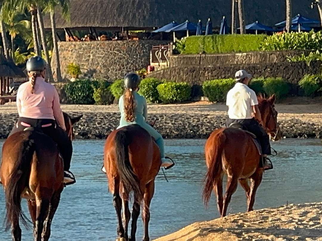 Maritim Equestrian Centre-巴拉克拉瓦必去景点