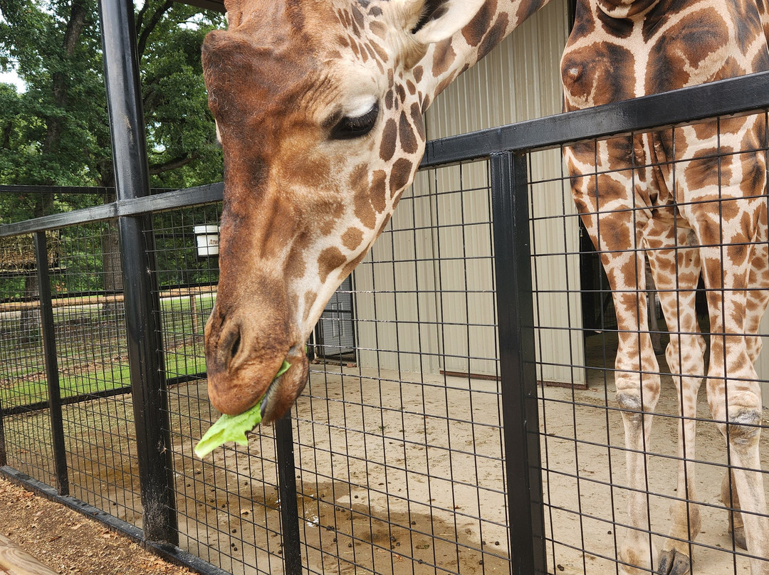 Texas Zoofari Park-Kaufman必去景点