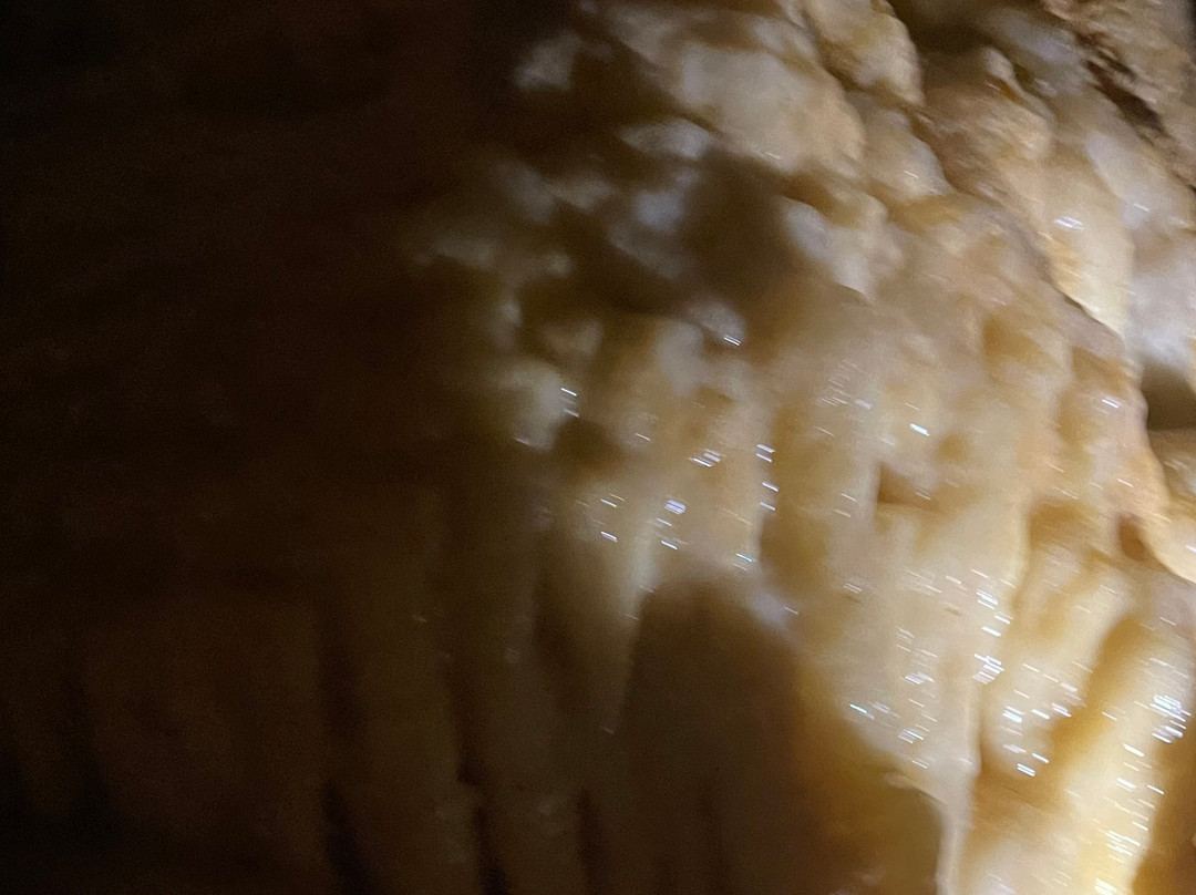 Grotte du Grand Roc-Les Eyzies-de-Tayac-Sireuil必去景点