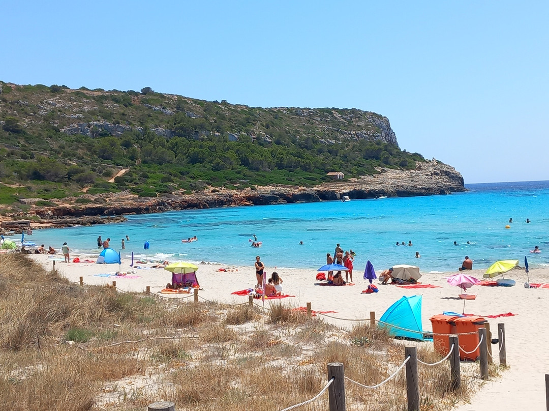 Playa de Son Bou-阿拉约尔必去景点