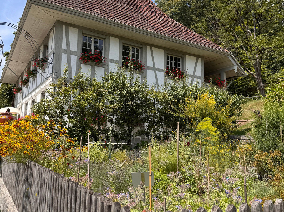 巴伦堡户外博物馆-Hofstetten bei Brienz必去景点