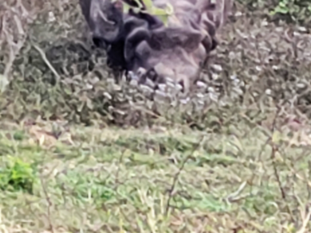 Chitwan Tharu Village-苏拉哈必去景点