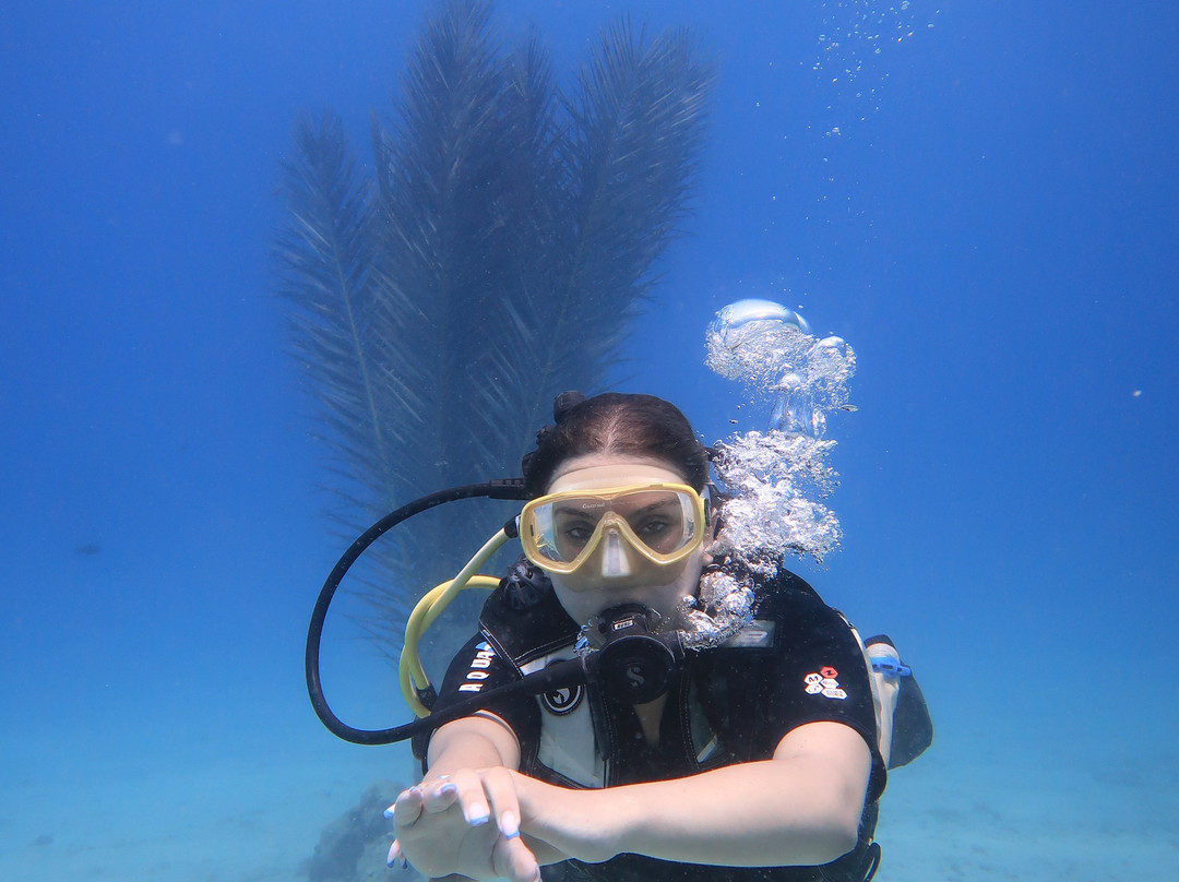 Tekirova Diving Center-Tekirova必去景点