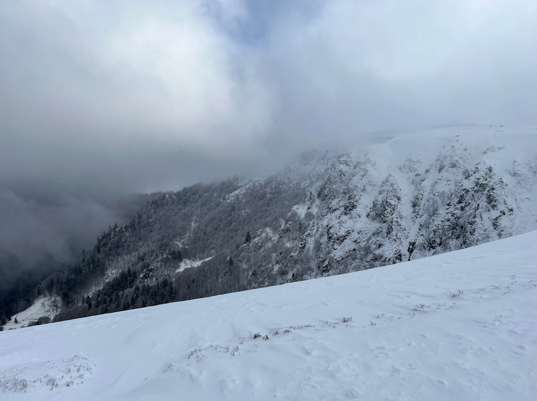 The Northern Vosges Regional Nature Park