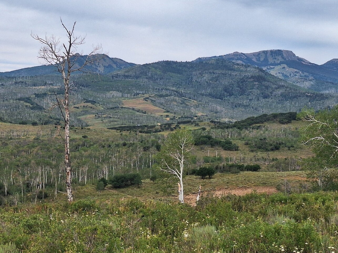 Del's Triangle 3 Ranch-Clark必去景点