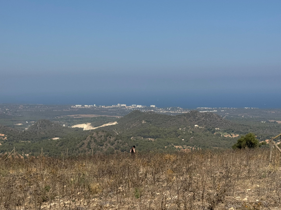 Castell de Santueri-Felanitx必去景点