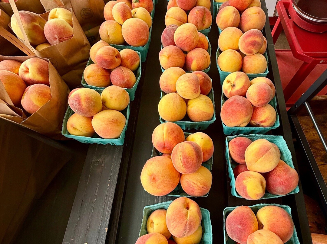 Carter Mountain Orchard-夏洛茨维尔必去景点