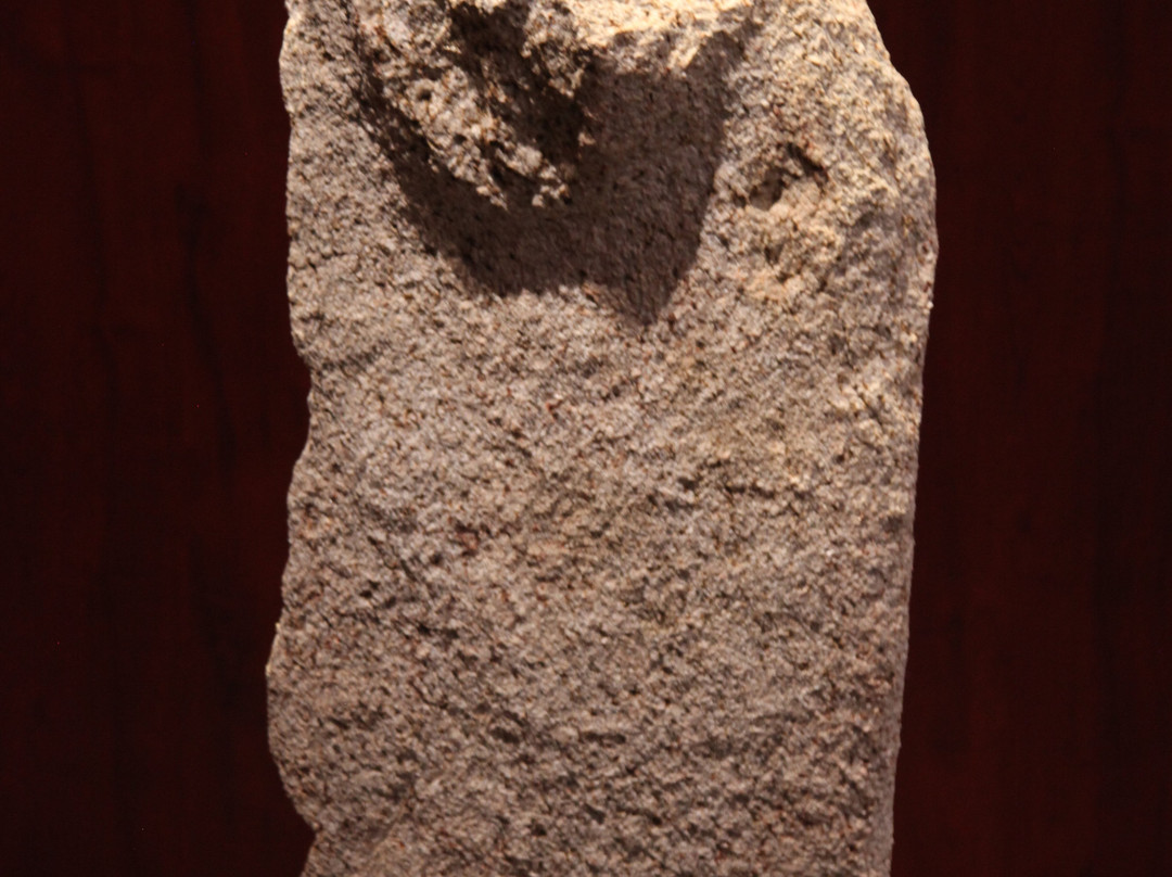 Musee Prehistorique-Sartene必去景点