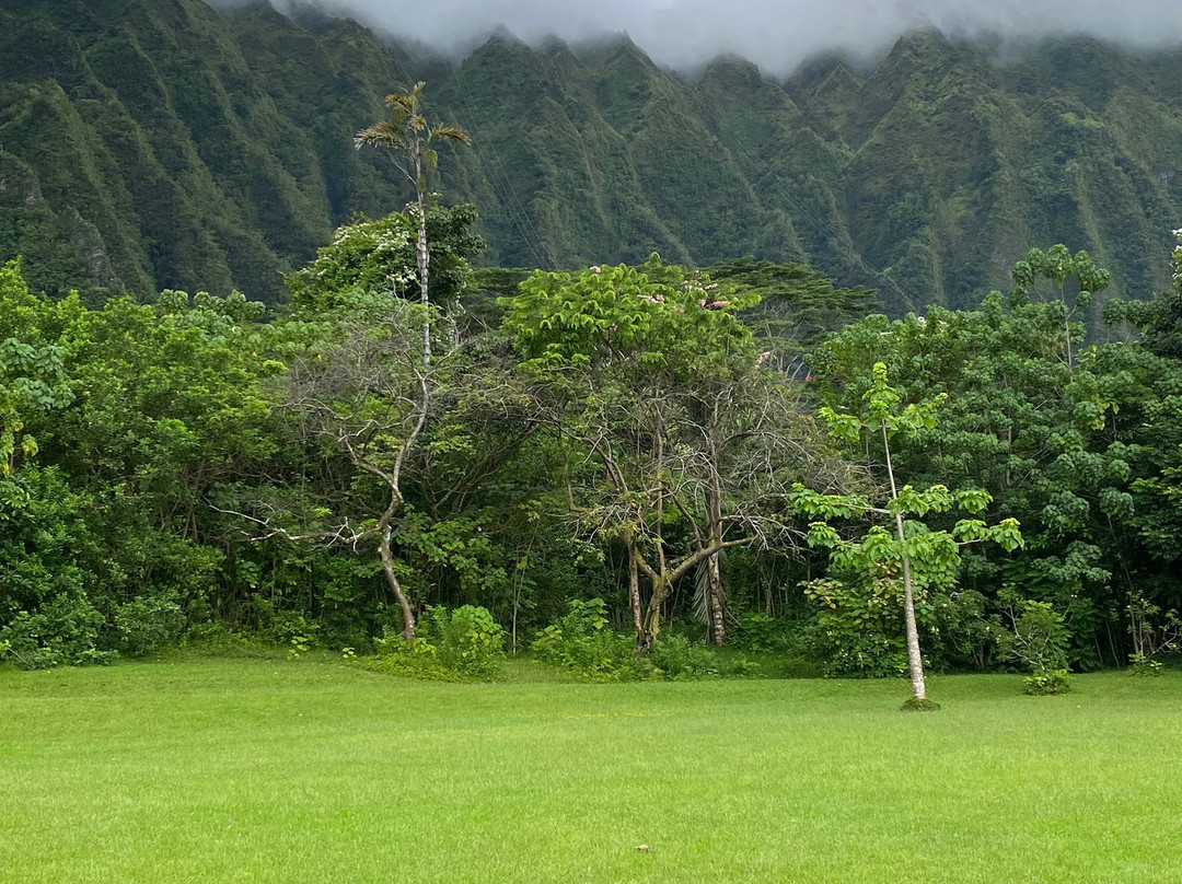 火玛卢霞植物园-卡内奥赫必去景点