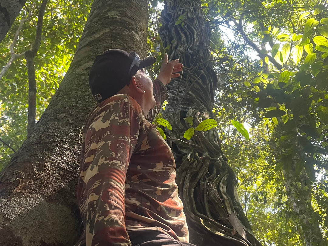 Amazon Rambo Jungle Tours-玛瑙斯必去景点
