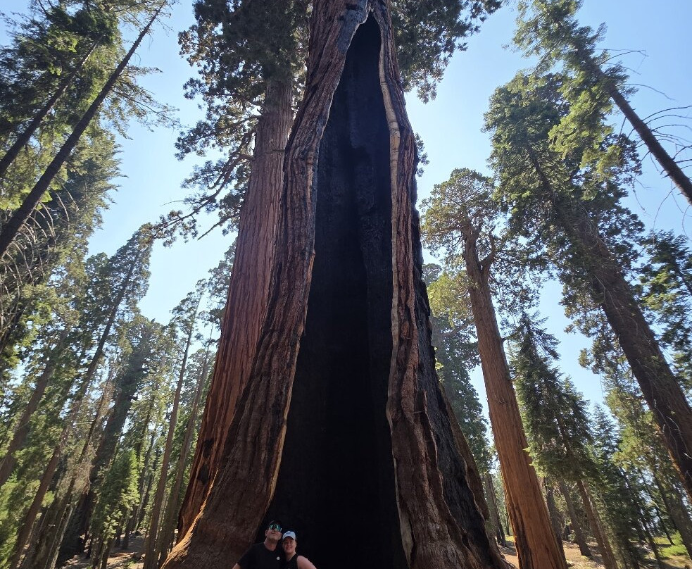 Sequoia National Park-维塞利亚必去景点