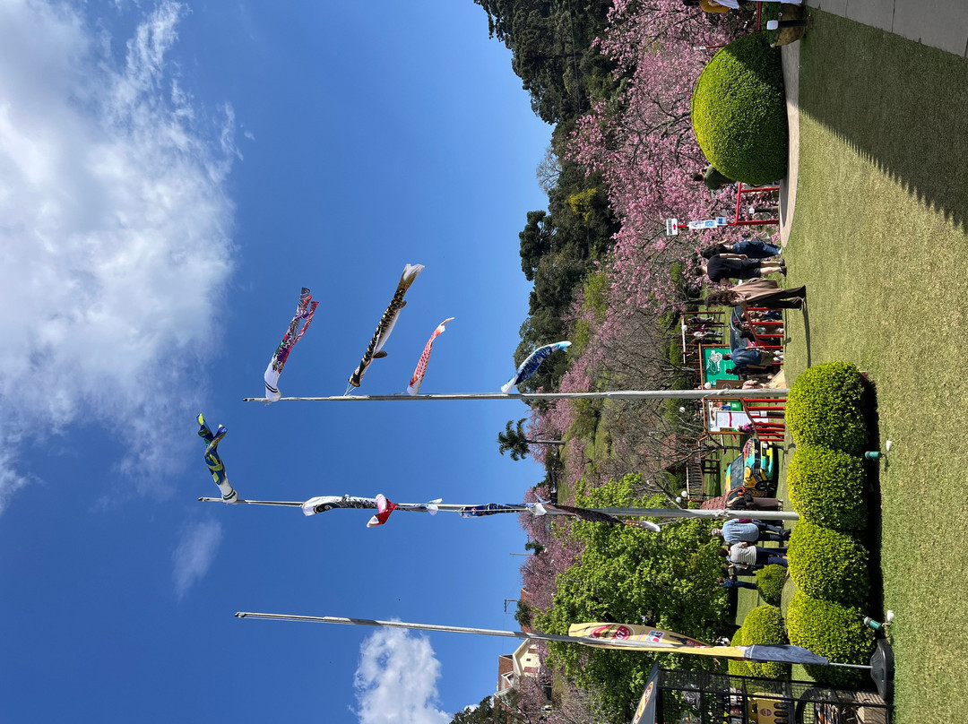 Parque das Cerejeira-坎普斯－杜若尔当必去景点
