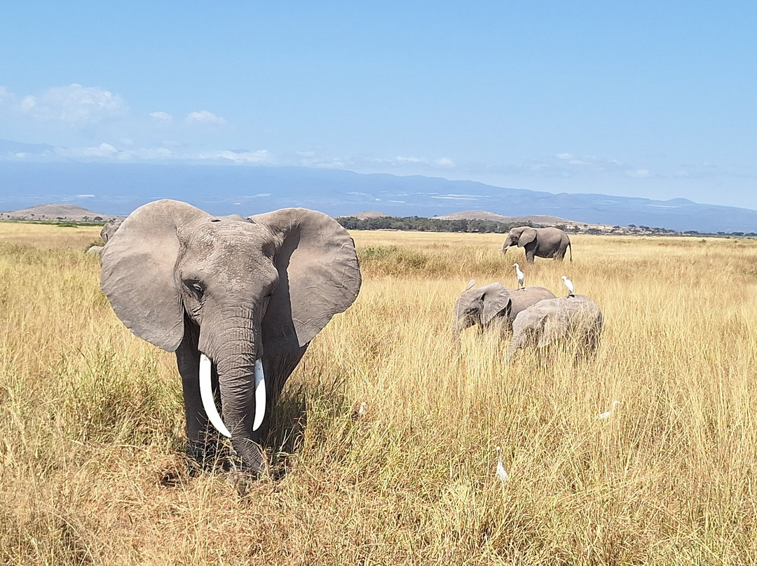 Shanjoy Tours and Safaris-Kikuyu必去景点