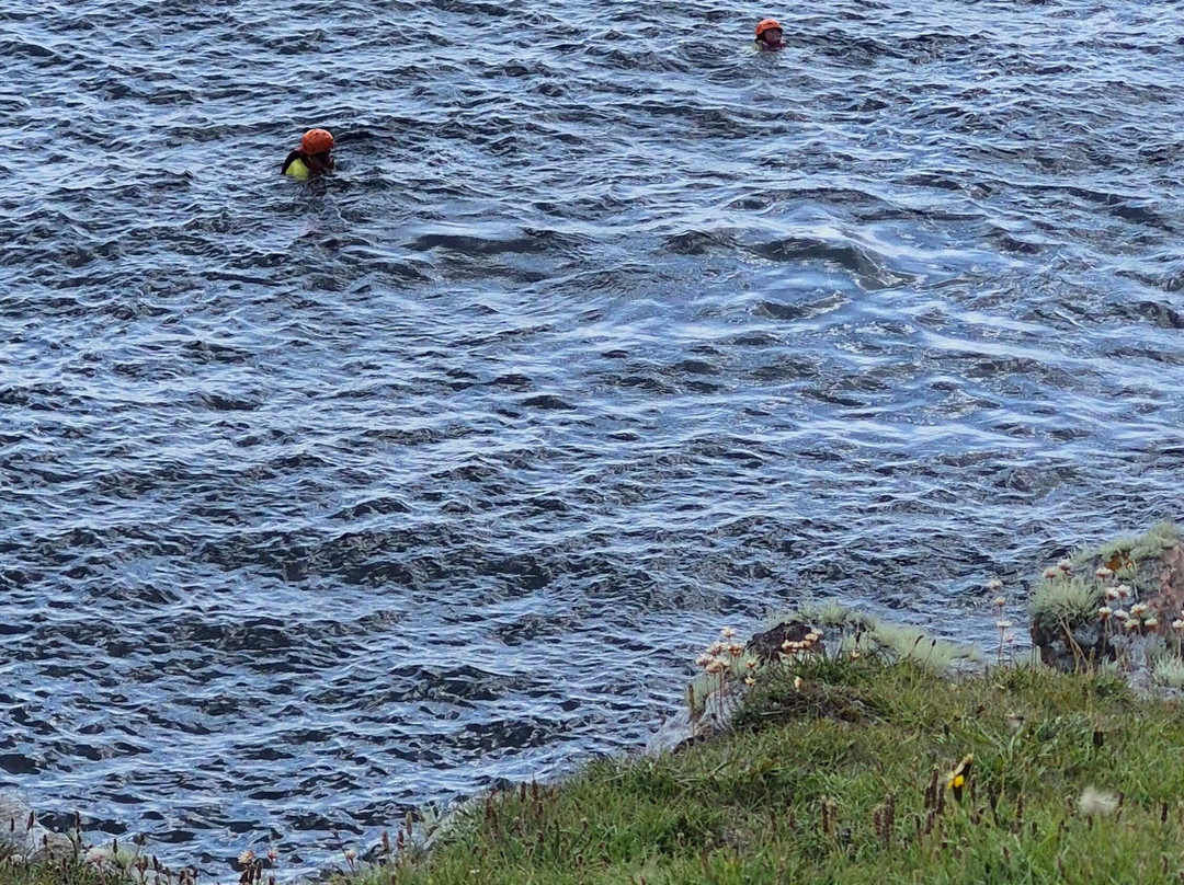Shetland Sea Adventures-Foula必去景点