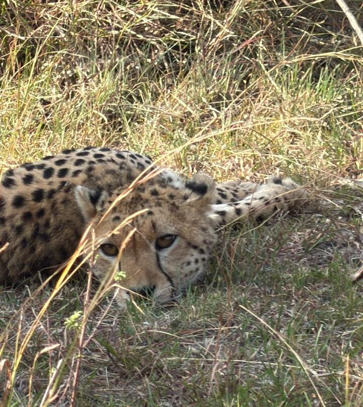Garibaldi Safari Kenya-瓦塔木必去景点