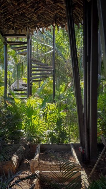 Nômade Holbox-旅行者