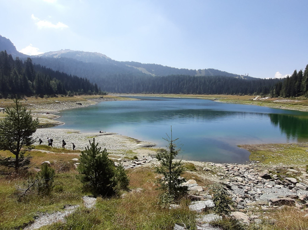 Lago di Pian Palù-Peio必去景点