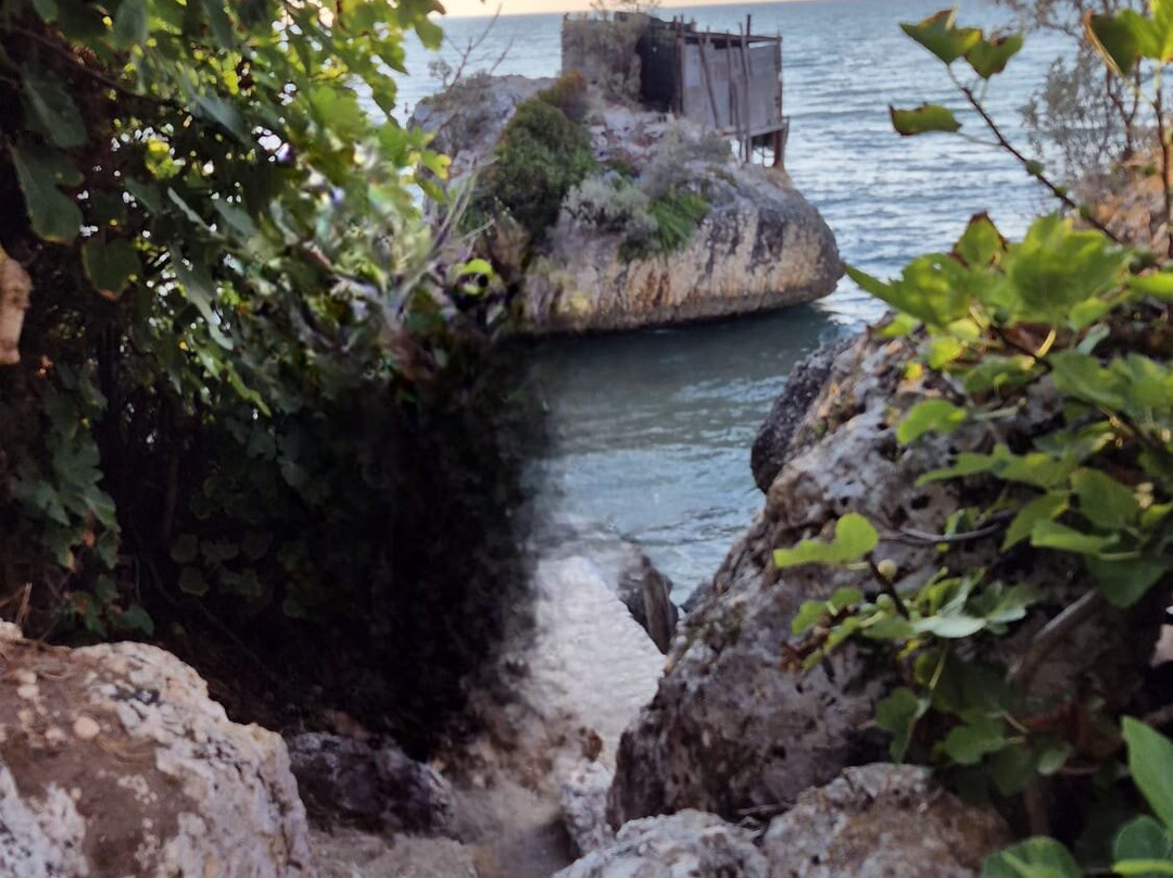 Hotel Sirena - Servizio Spiaggia Inclusive主图