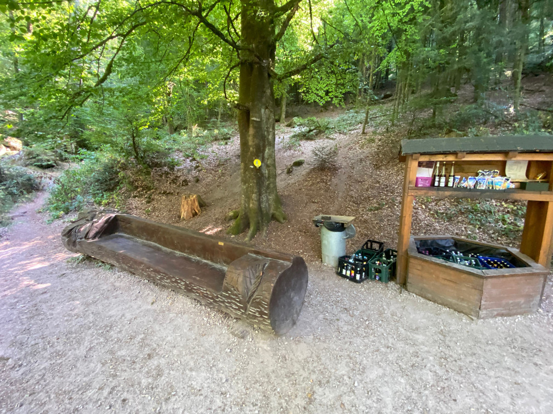 Gertelbach-Wasserfälle-Buehlertal必去景点