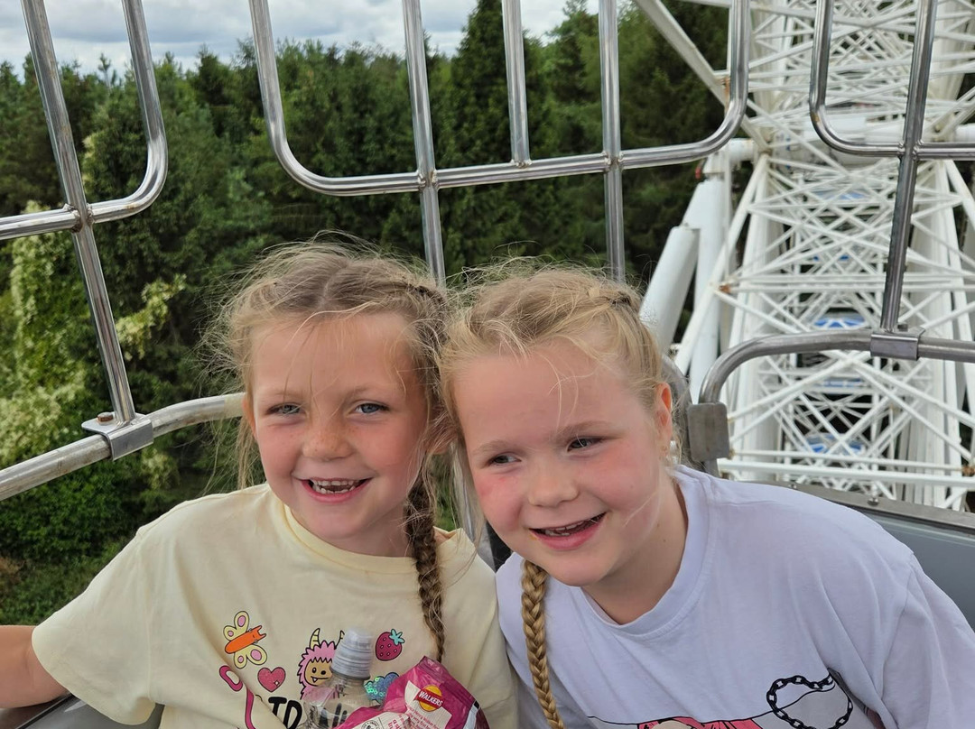 Lightwater Valley Family Adventure Park-North Stainley必去景点