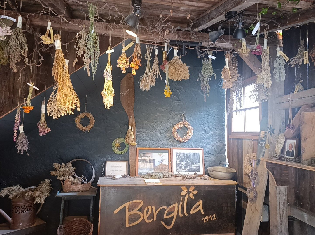 Bergila-Issengo必去景点